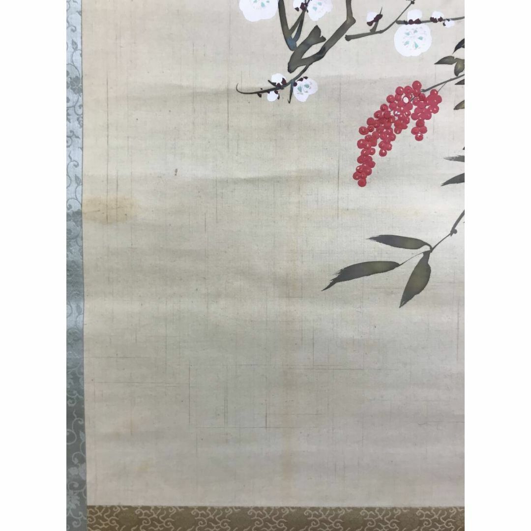 真作/靖々春明/南天梅花図/琳派/花鳥図/掛軸☆宝船☆AG-56の通販 by