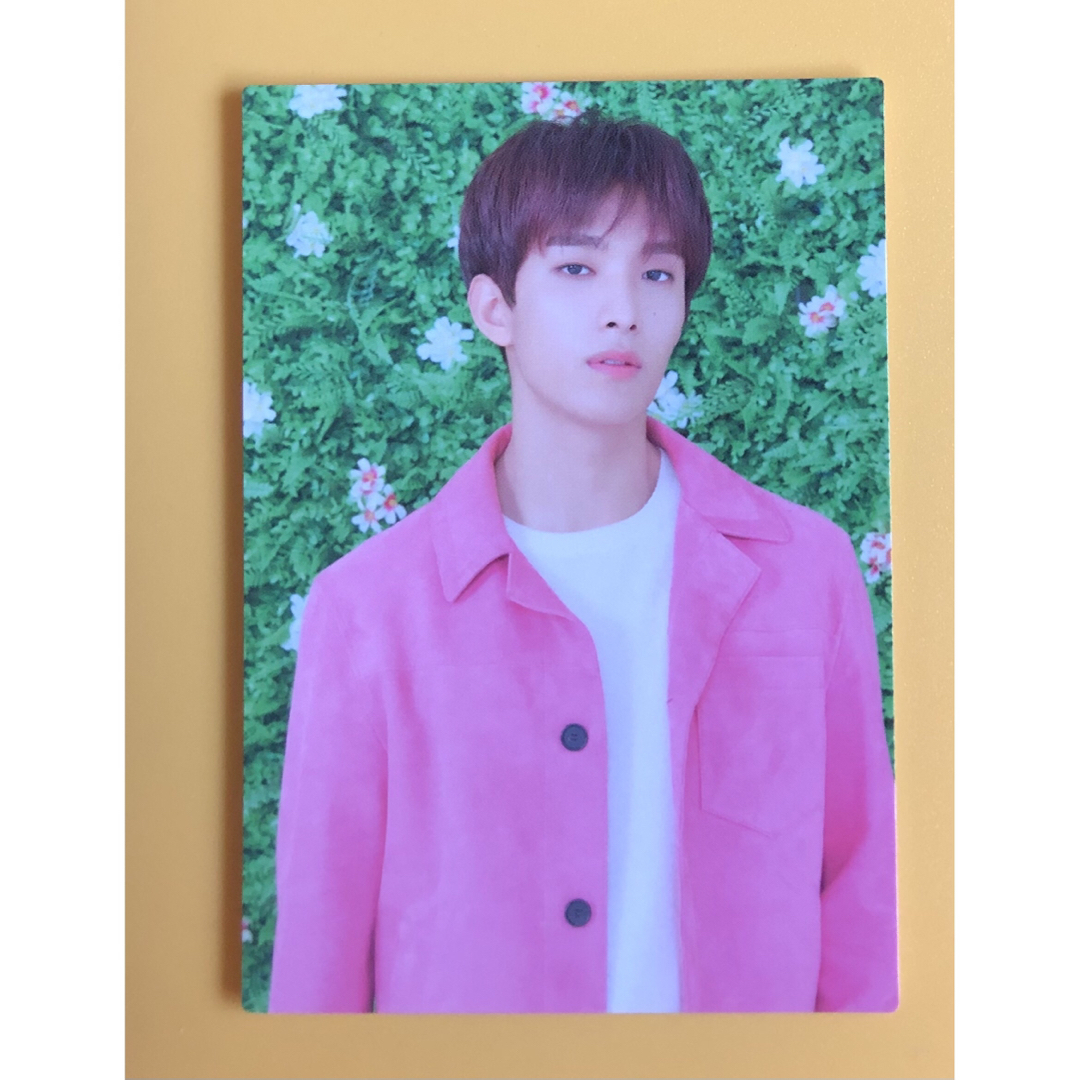 SEVENTEEN - 【公式】ドギョム DK メッセージ トレカ HARU seventeen