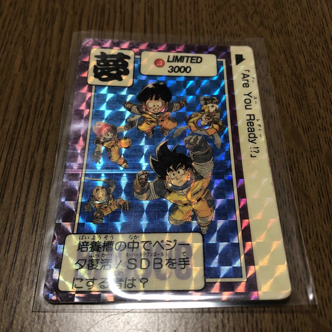正規品 限定 初期 ドラゴンボールカードダス リミテッド3000 夢 キラ美
