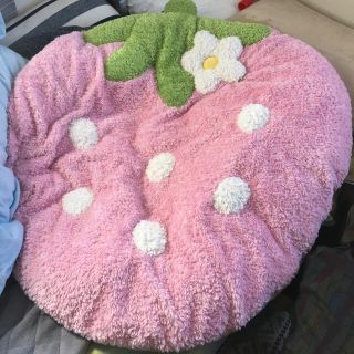 208117700.jpg?1491122209