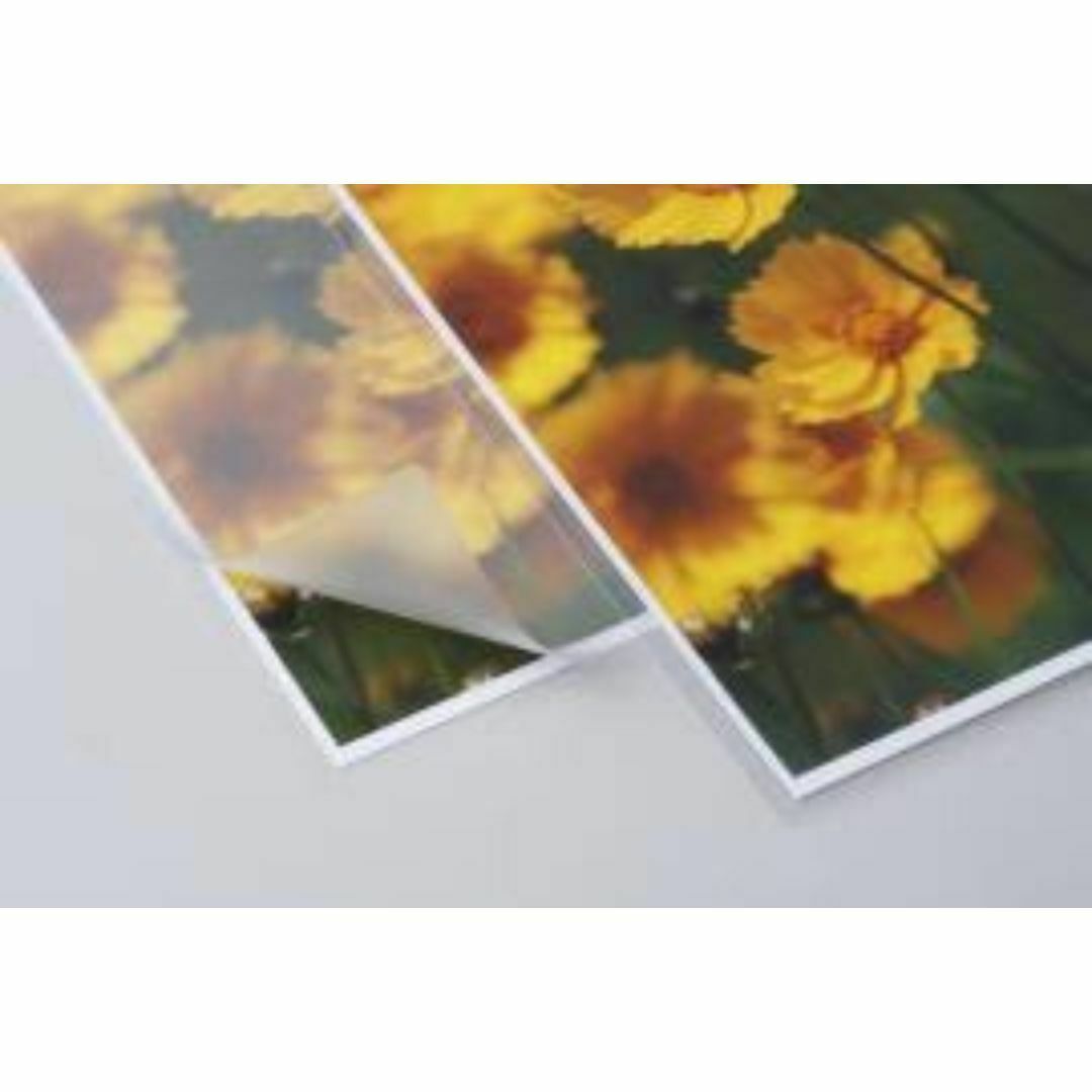 河合奈保子254 特大A4写真 ラミネート加工防水 昭和 ビキニの通販 by