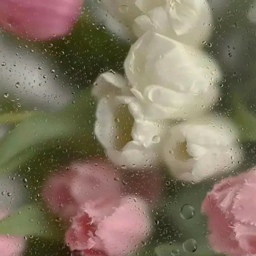 POLA - 専用の通販 by ユリ's shop｜ポーラならラクマ