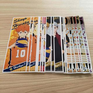 2647350881.jpg?1754233813