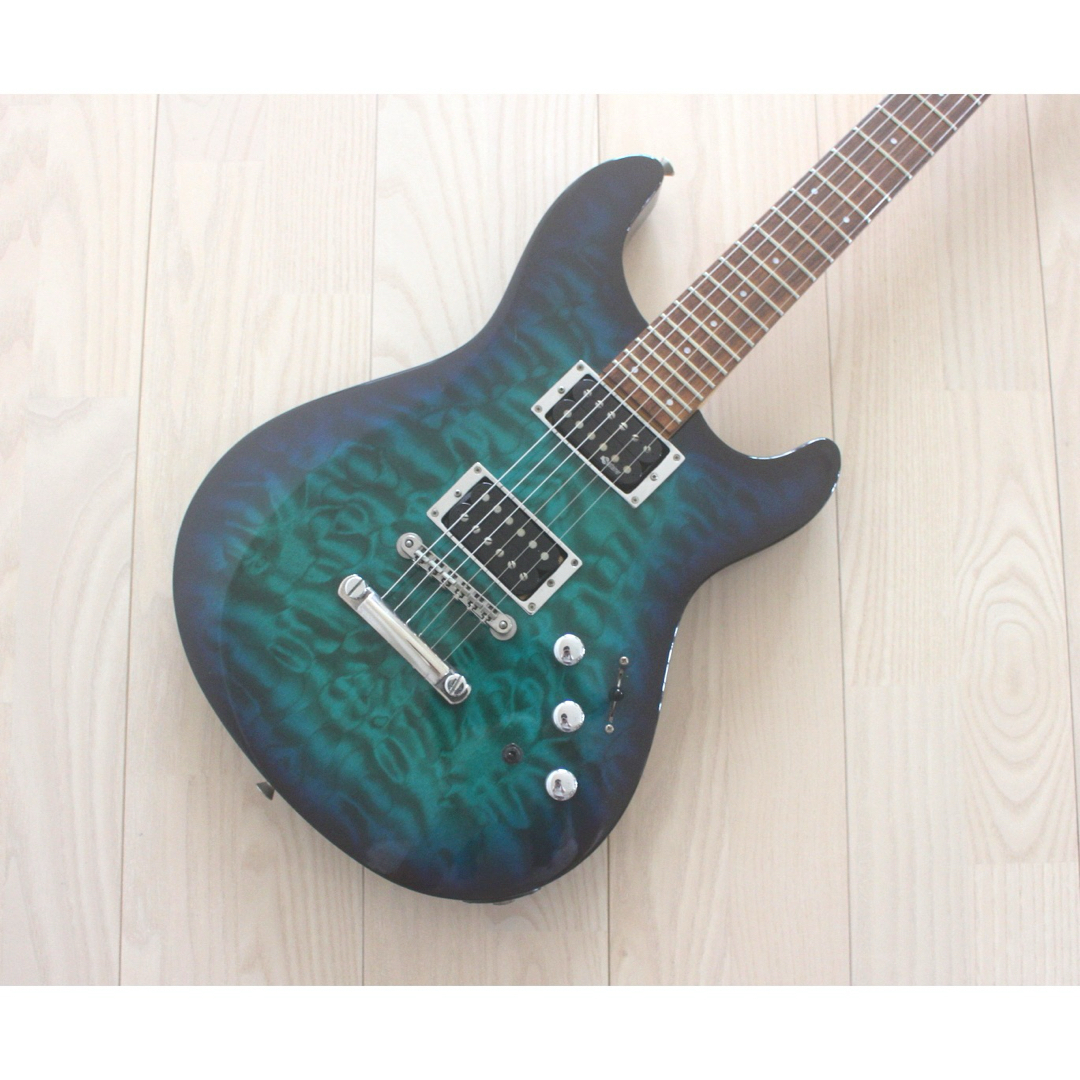 Fernandes フェルナンデス APG-65S サスティナー搭載