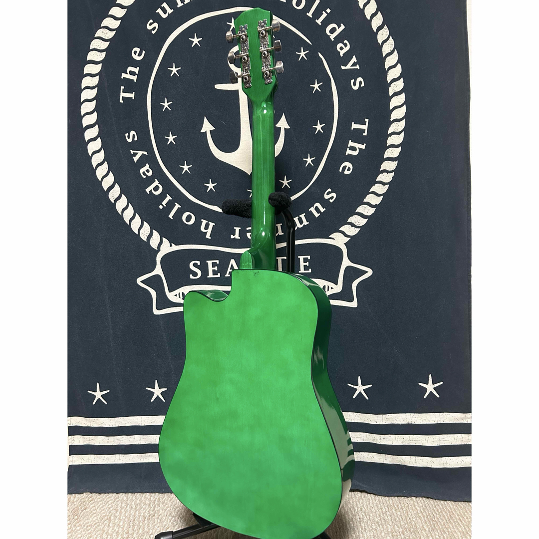 今月末迄特価❣️新品未使用グリーン タイガーグラフィック