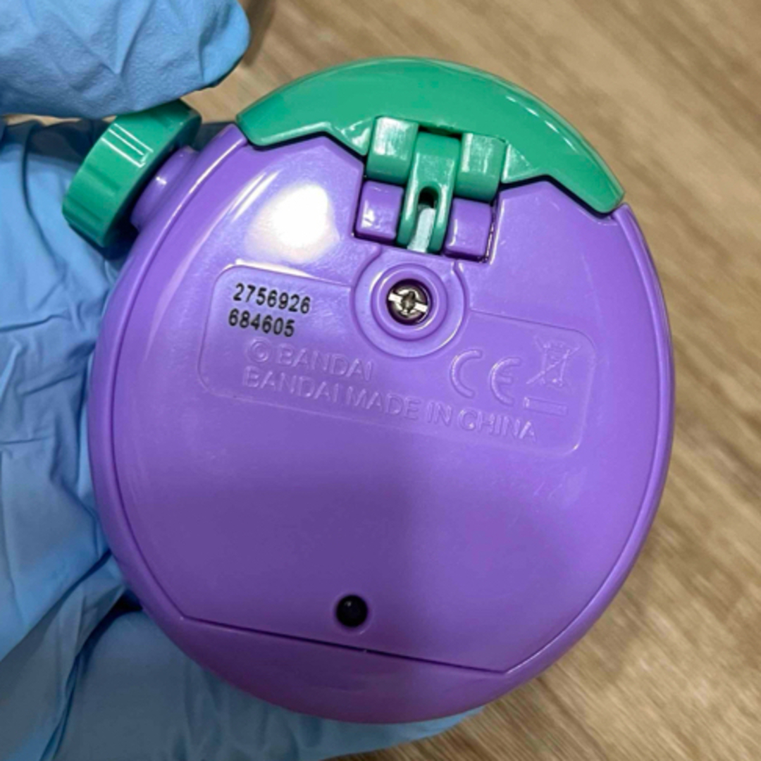 BANDAI - たまごっちパラダイス 本体 パープル×グリーン カスタム品の