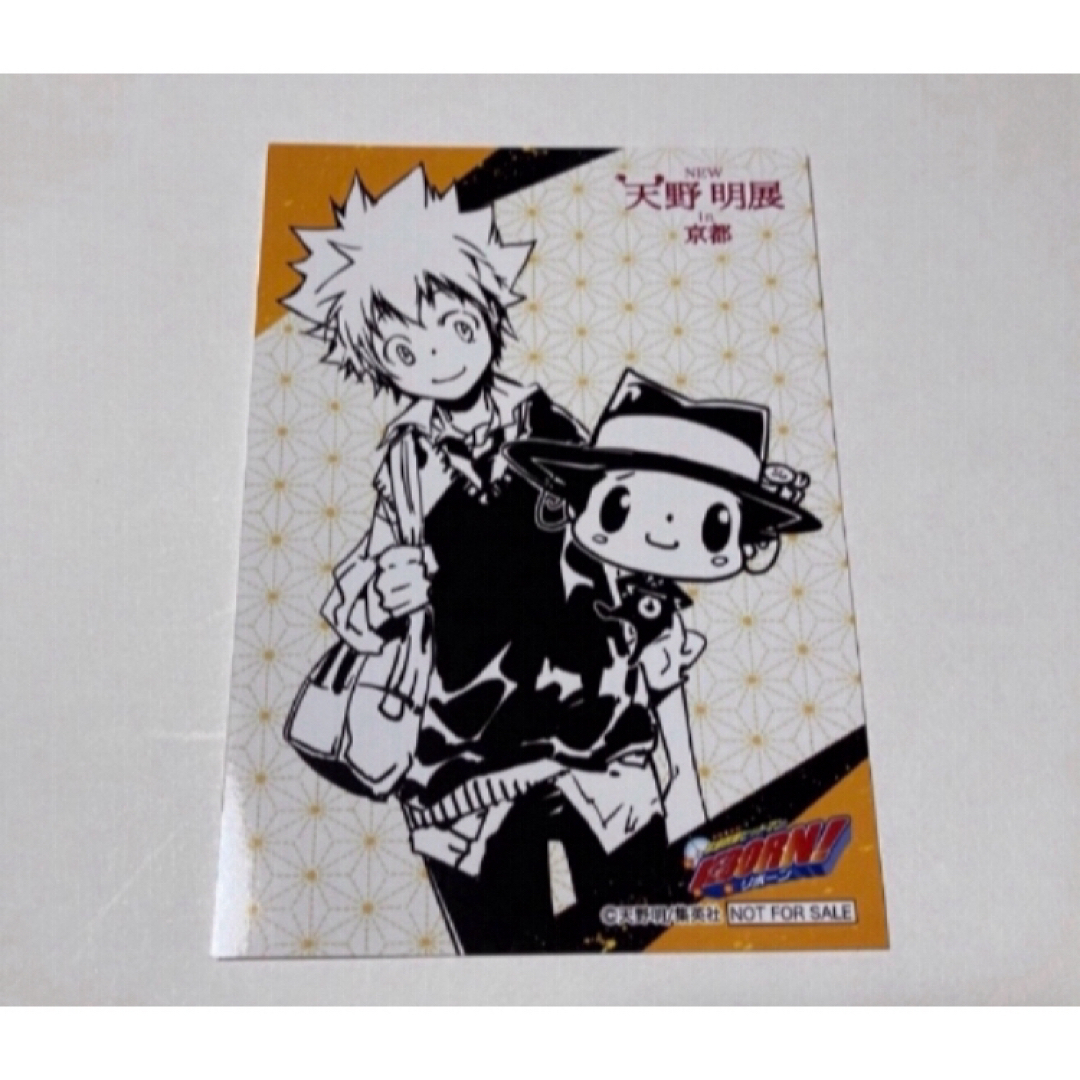 家庭教師ヒットマン REBORN！天野明展 京都 特典 ブロマイド ツナの