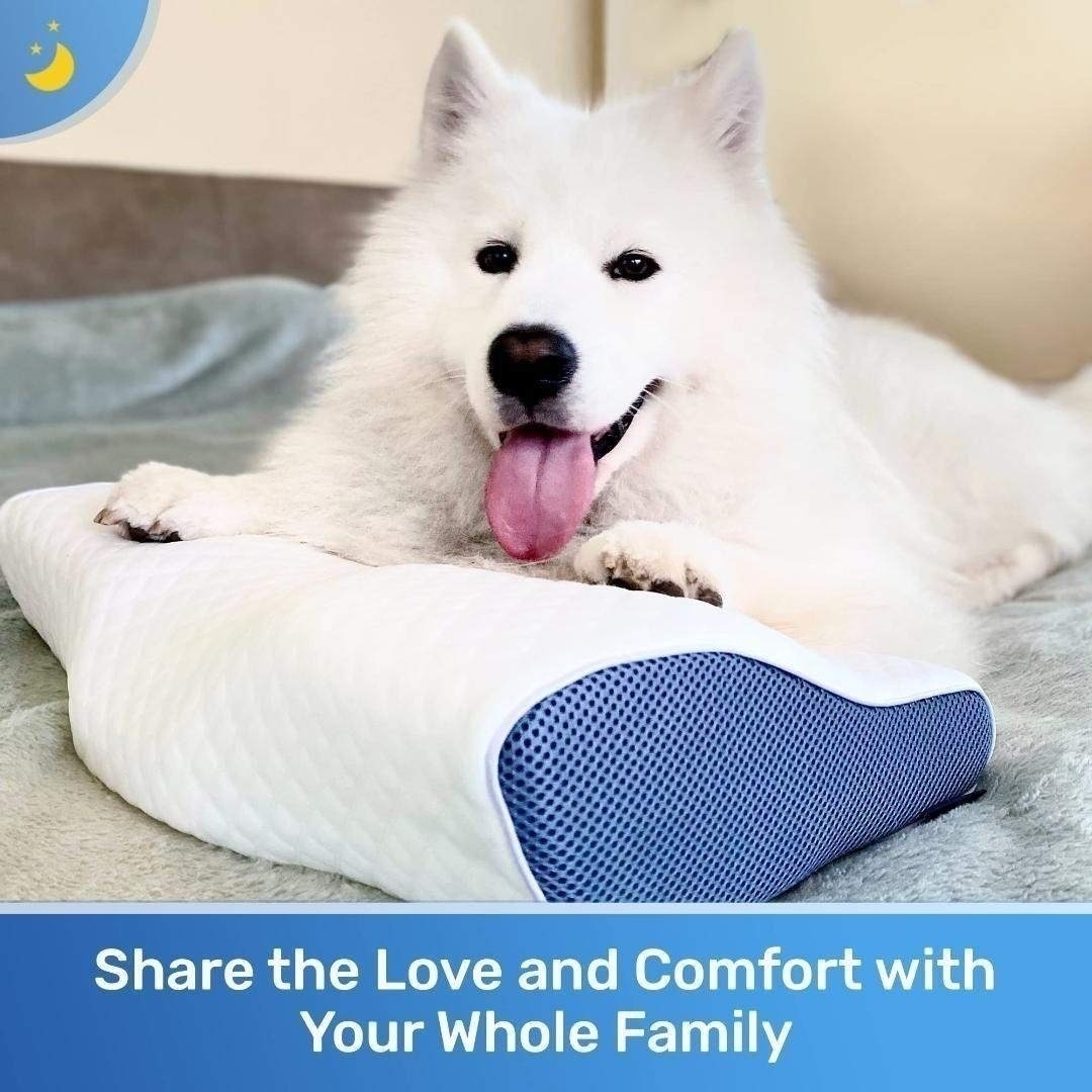 Derila デリラ 枕 ネックピロー ネックサポート枕 形状記憶フォーム枕