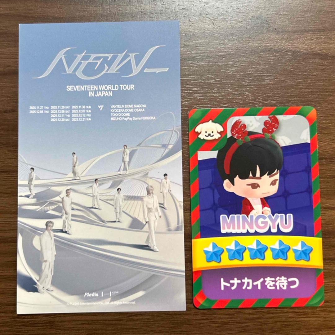 SEVENTEEN - SEVENTEEN ミンギュ パズチ トレカ ピクチャーチケットの