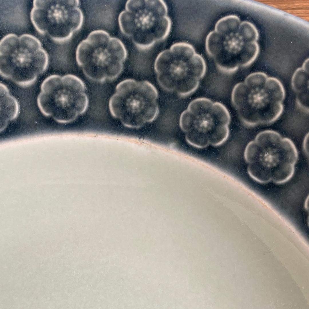 希少 クイストゴー AZUR アズール Φ21 スーププレート 深皿 1枚 Cの