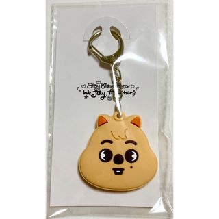 Stray Kids - StrayKids スンミン トレカ starriver 中華 中国