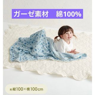 CELINE - CELINE セリーヌ タオルケット ニューサルキー 西川産業