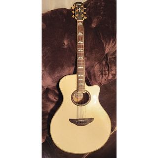 Gibson - ギブソン J-200 コピー 林楽器 カスタムモデル Rider J-400S