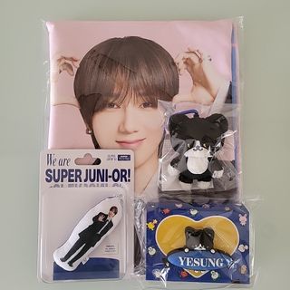 SUPER JUNIOR - SUPER JUNIOR イェソン ソロ SENSORY FLOWS トレカの