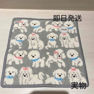 モフモフワンチャンのフリマアイテム一覧