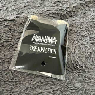 WANIMA - WANIMA BAMBOOM NIGHT ポーチ 黒 ブラックの通販 by Lamia's