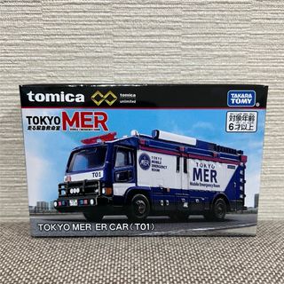 SUNSTAR - ワンオフカスタム 1/18 SunStar トライアンフ