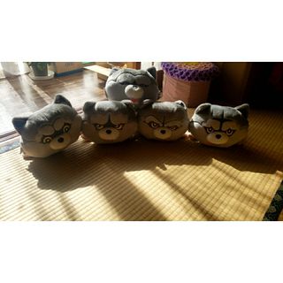 MAN WITH A MISSIONのフリマアイテム一覧