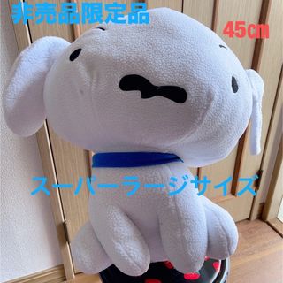 SHOO・LA・RUE - こねこのぬいぐるみの通販 by ゆるりん's shop