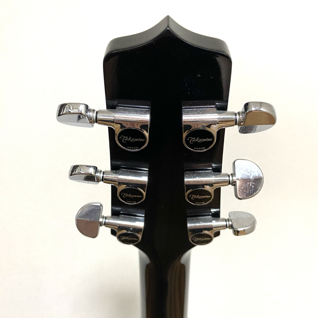 Takamine - Takamine タカミネ DMP561C BL エレアコ ハードケース付の