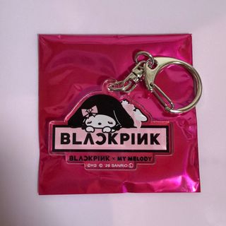 BLACKPINK - Blackpink Born Pink ペンライトカバー ジス SOOYAの通販