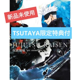 らんま1/2 複製原画 キャラファイングラフ a5サイズの通販 by プーさん