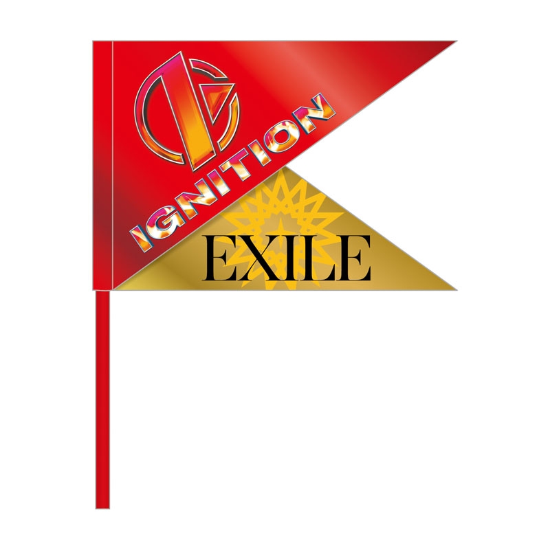 EXILE PERFECT LIVE フラッグ : EXILE | HMV&BOOKS online - LP080783