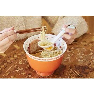 SNOOPY スリムで使いやすい! レンゲスプーンセット BOOK PEANUTS 75th