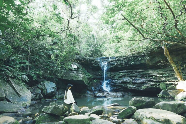 この夏は八重山へ出かけよう！西表島の手つかずの自然に抱かれる