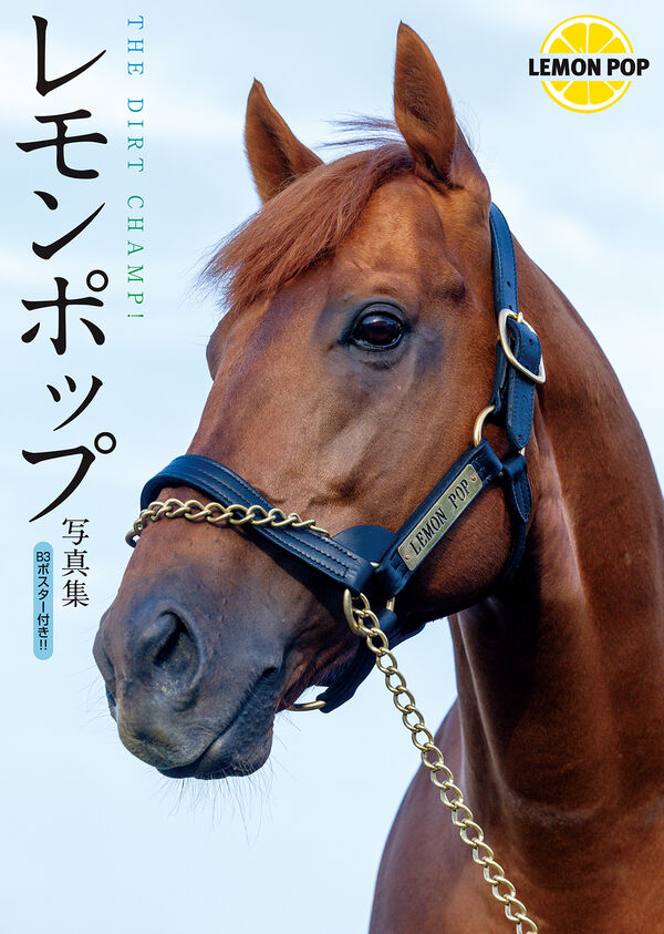 9784575320008_600.in01.jpg?