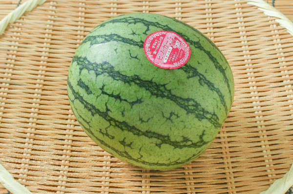 ピノガール 【業務用食材の仕入れなら八面六臂】