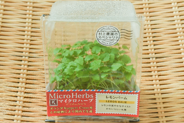 マイクロハーブ（シュンギク） 【業務用食材の仕入れなら八面六臂】