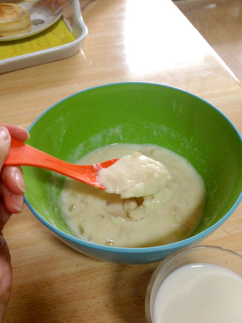 エム・フーズ「フルオーレダイエット」モニター報告 | Monitor