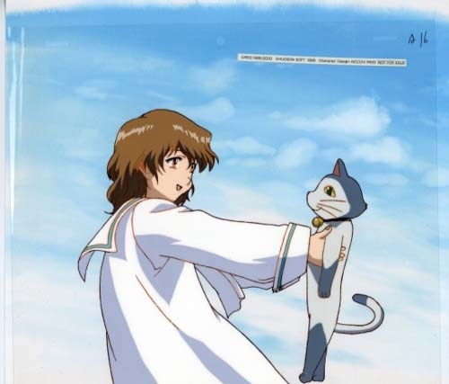 北へ… 春野琴梨