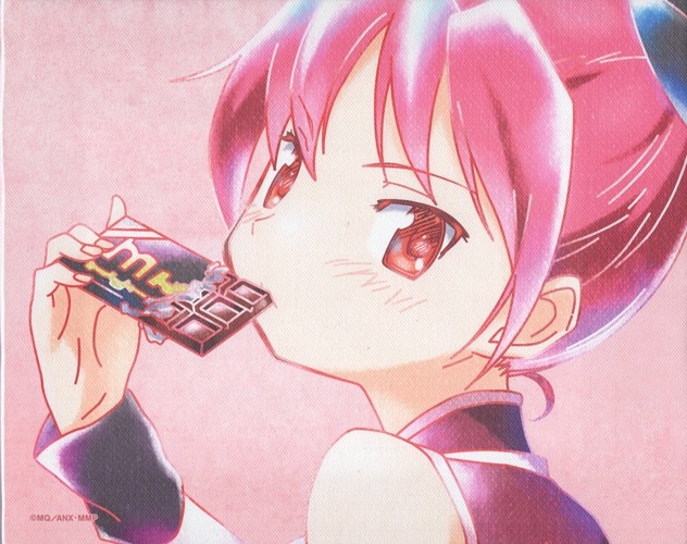 劇場版 魔法少女まどか☆マギカ カラー複製イラストキャンバスボード