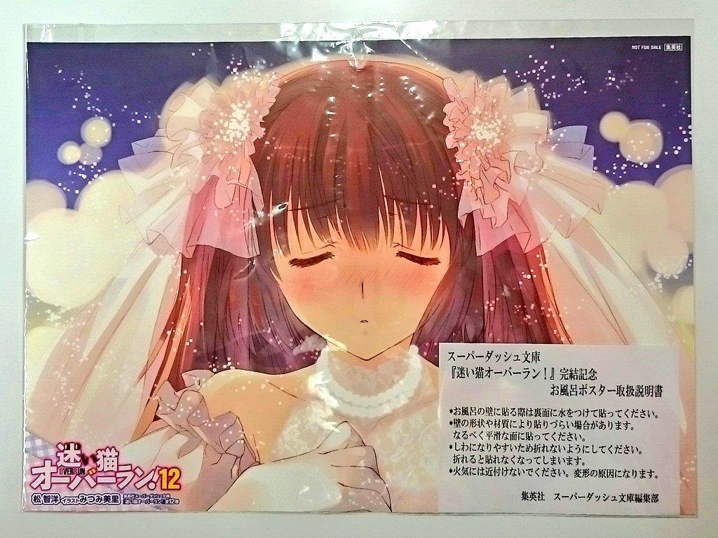 集英社 抽プレ みつみ美里 迷い猫オーバーラン 完結記念お風呂ポスター