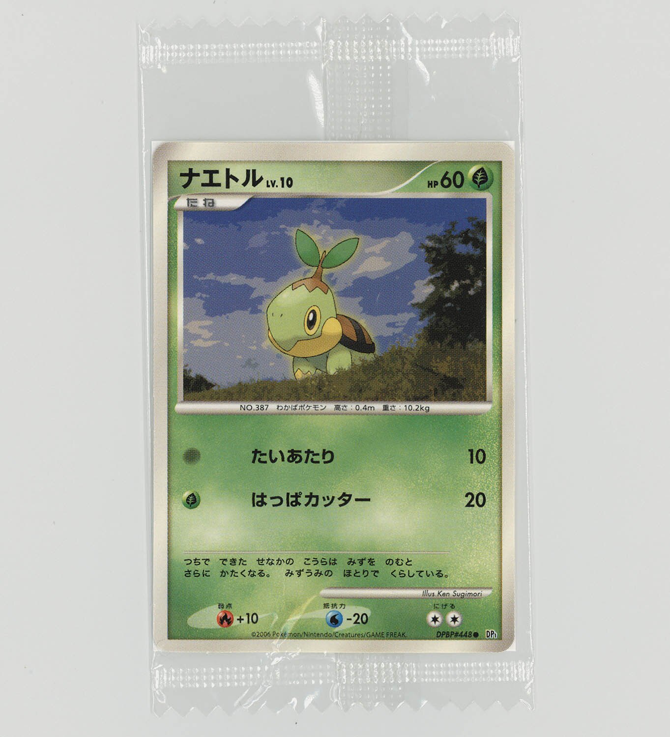 5029] ポケモンカード(Dpシリーズ) ナエトル(ミニサイズ)