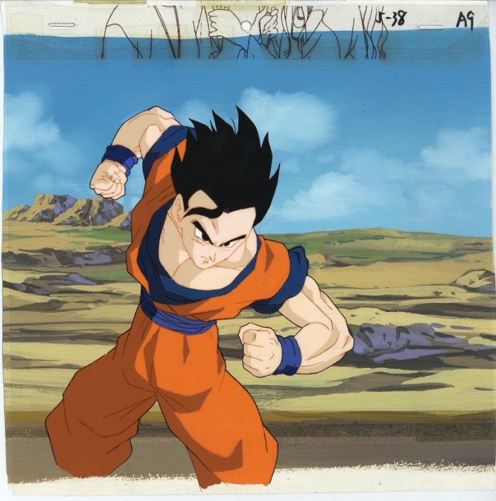 ドラゴンボールZ 孫悟飯