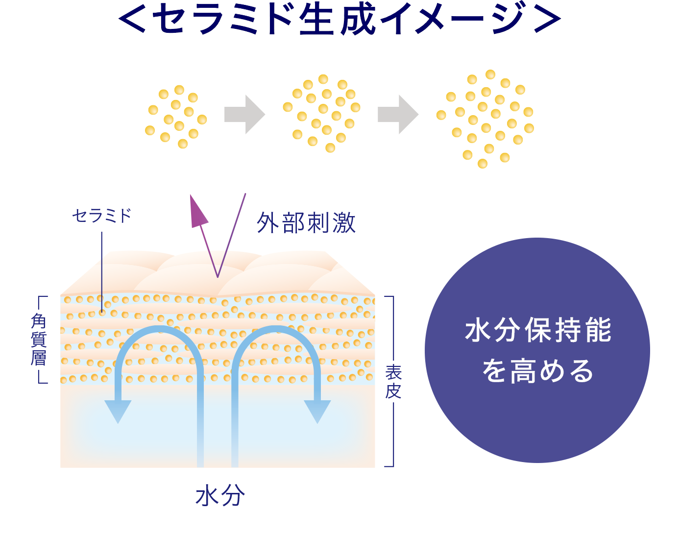 ディープモイスチュアエッセンス｜ライスフォース＜公式＞オンライン