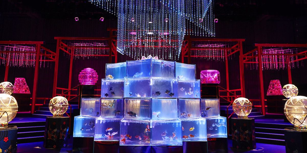 世界最多30000匹の金魚が泳ぐ！リアルな「アートアクアリウム美術館