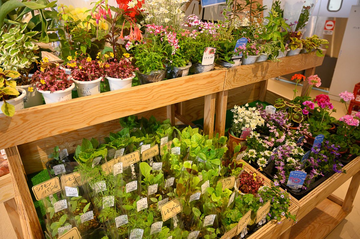 道の駅おとふけ なつぞらのふる里」が2022年4月、リニューアルOPEN