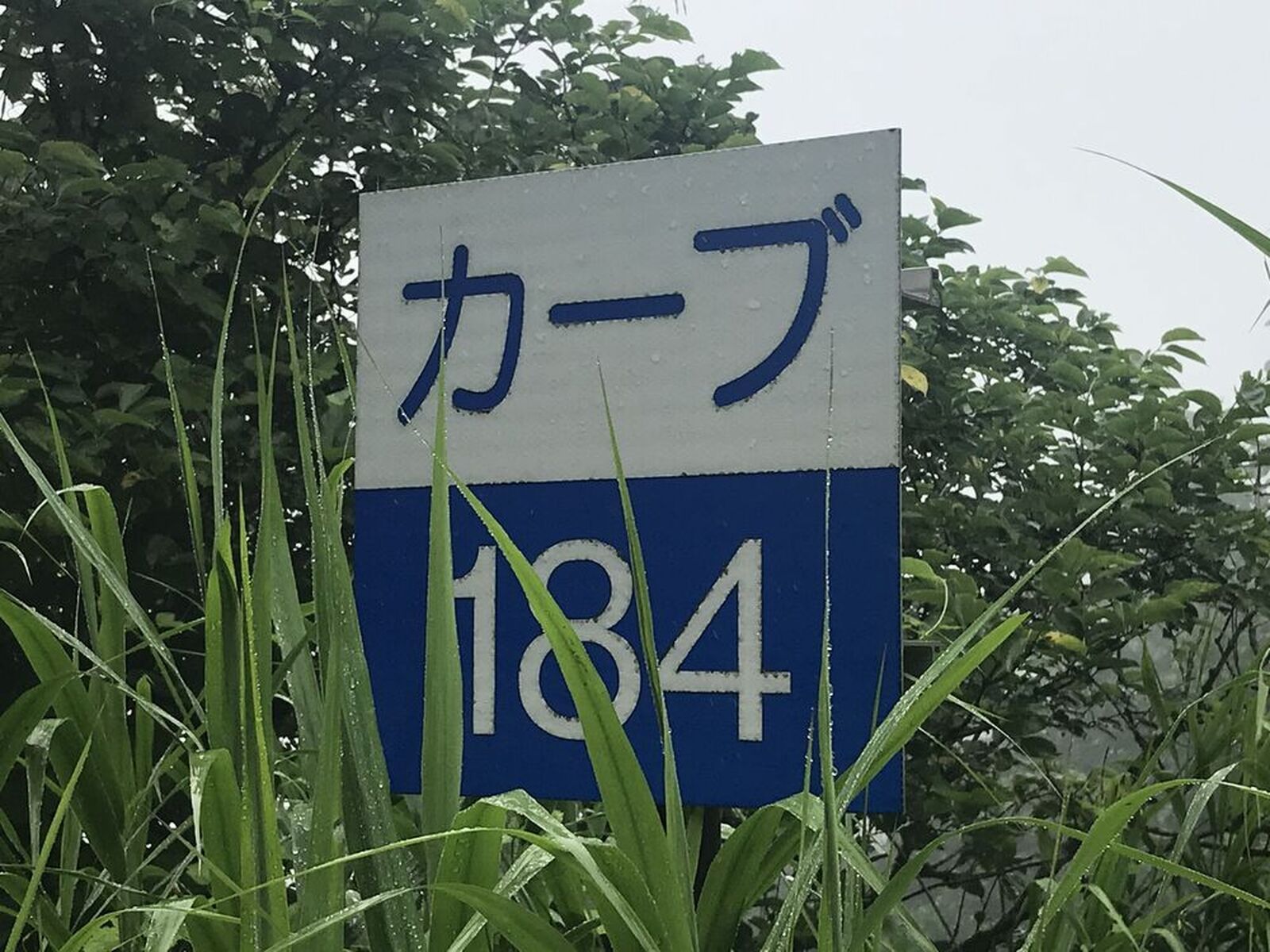 旧碓氷峠184カーブは、ボリューム満点」 | ウェビックコミュニティ