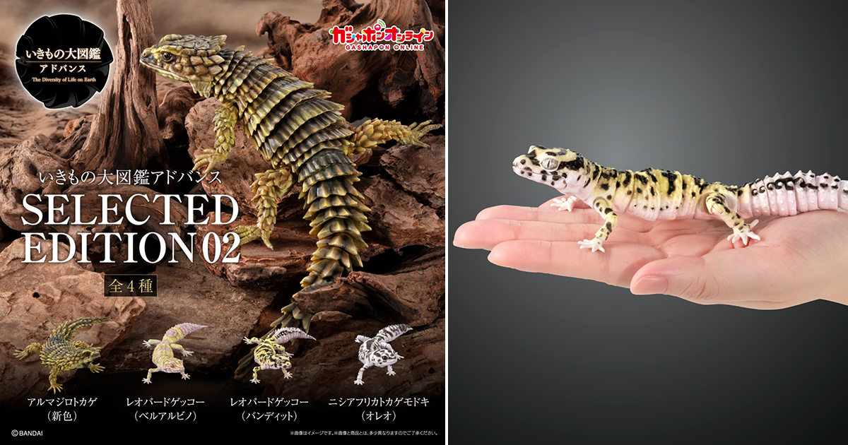 いきもの大図鑑 | 玩具人Toy People News