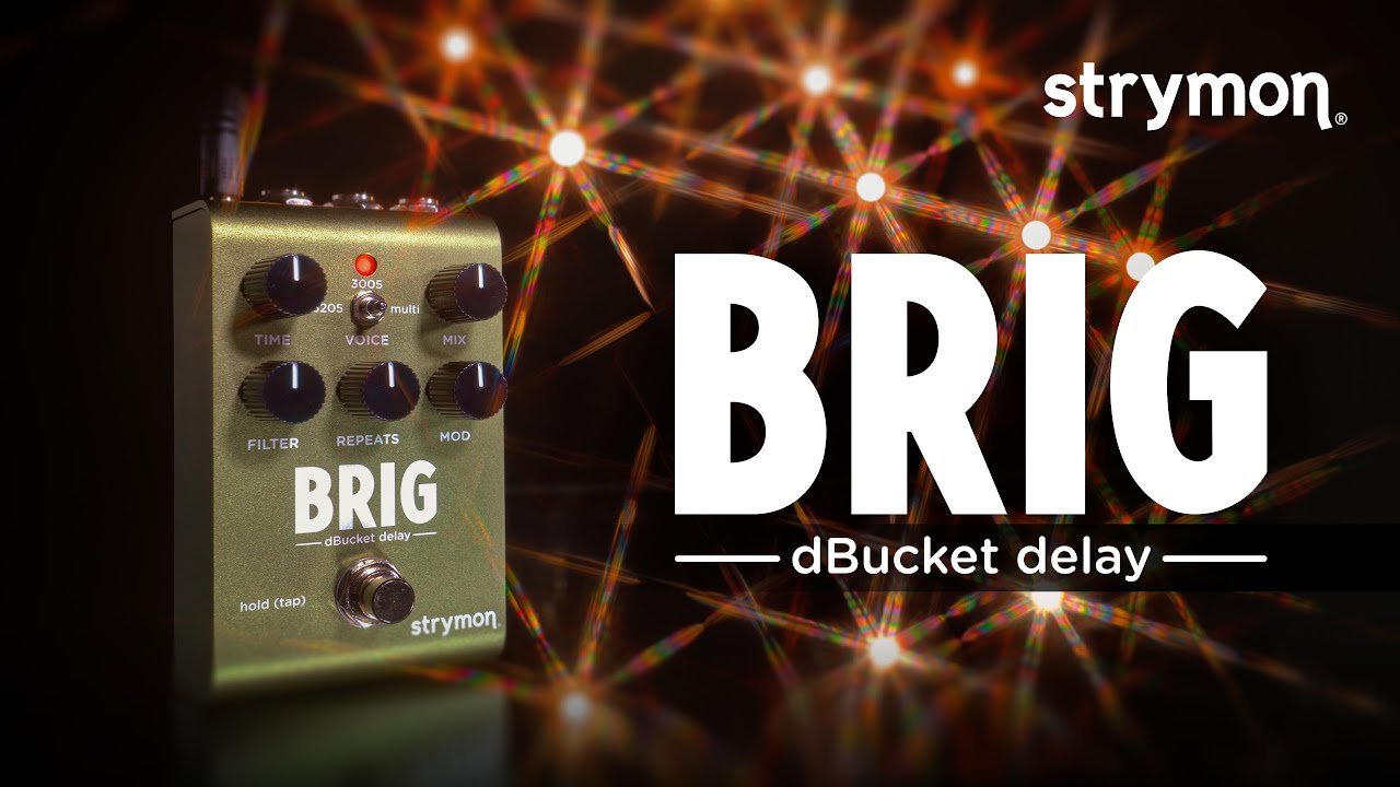 Brig dBucket Delay - Strymon