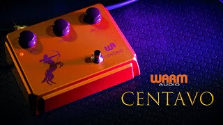 WARM AUDIO ( ウォームオーディオ ) Centavo Blackout オーバー