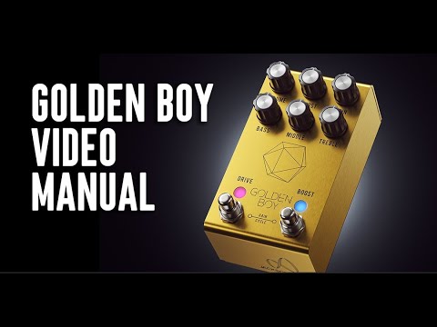 Jackson Audio GOLDEN BOY | The Pedal Zone