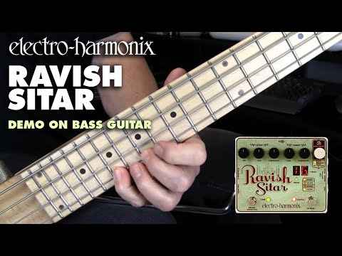 Electro-Harmonix Ravish Sitar Emulation Pedal | Sweetwater
