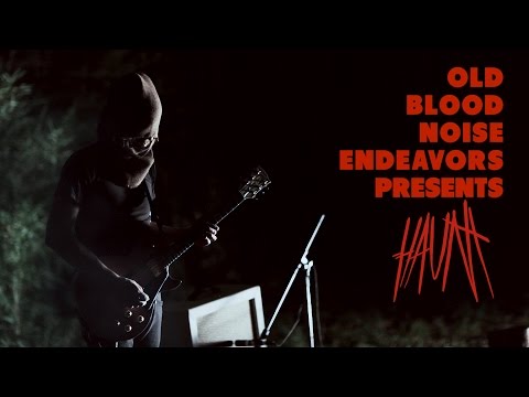 Old Blood Noise Endeavors Haunt | The Pedal Zone