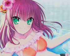 RR 鬼の嫁入り 識 販売 | Key all-star | ヴァイスシュヴァルツ通販