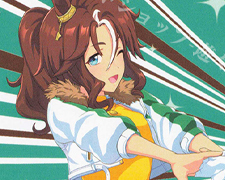 RR その背中を越えて サトノダイヤモンド 販売 | ウマ娘 プリティー